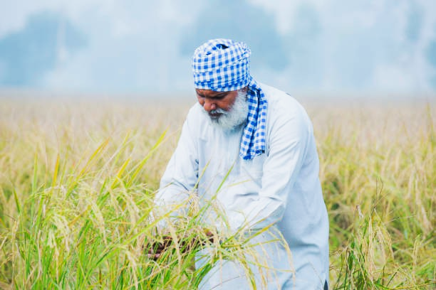 ਕਿਸਾਨਾਂ ਲਈ ਸਰਕਾਰ ਦਾ ਵੱਡਾ ਐਲਾਨ, ਨਵੀਂ ਯੋਜਨਾਵਾਂ ‘ਚ ਮਿਲੇਗੀ ਇਹ ਖ਼ਾਸ ਸੁਵੀਧਾ..!